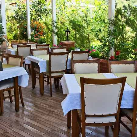 Defne Lorina Otel